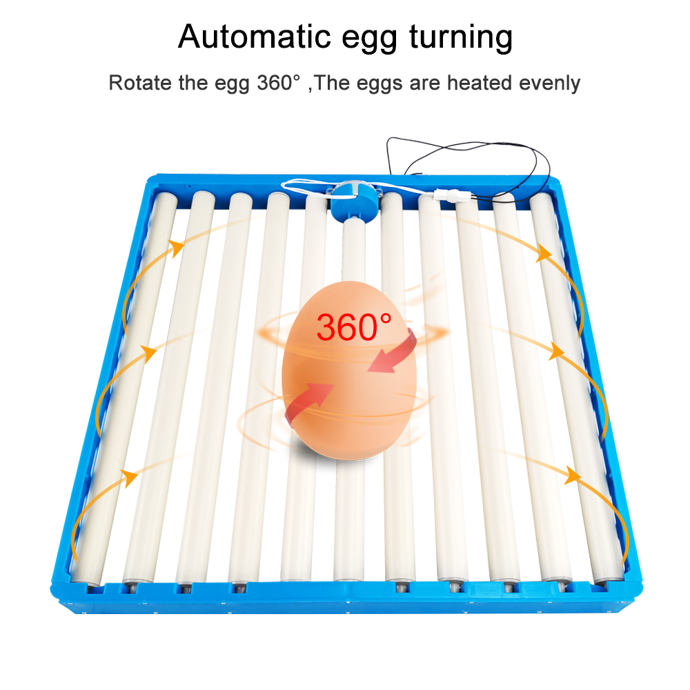 Hunting Quail - Inkubator für 70 Eier, automatisch, 360°