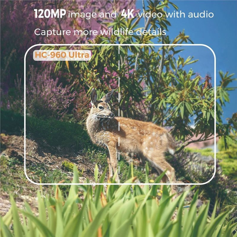 Y47A Outdoor 4G 120MP 4K Live- – Hunting Outdoor Shows Bewertung und Preis